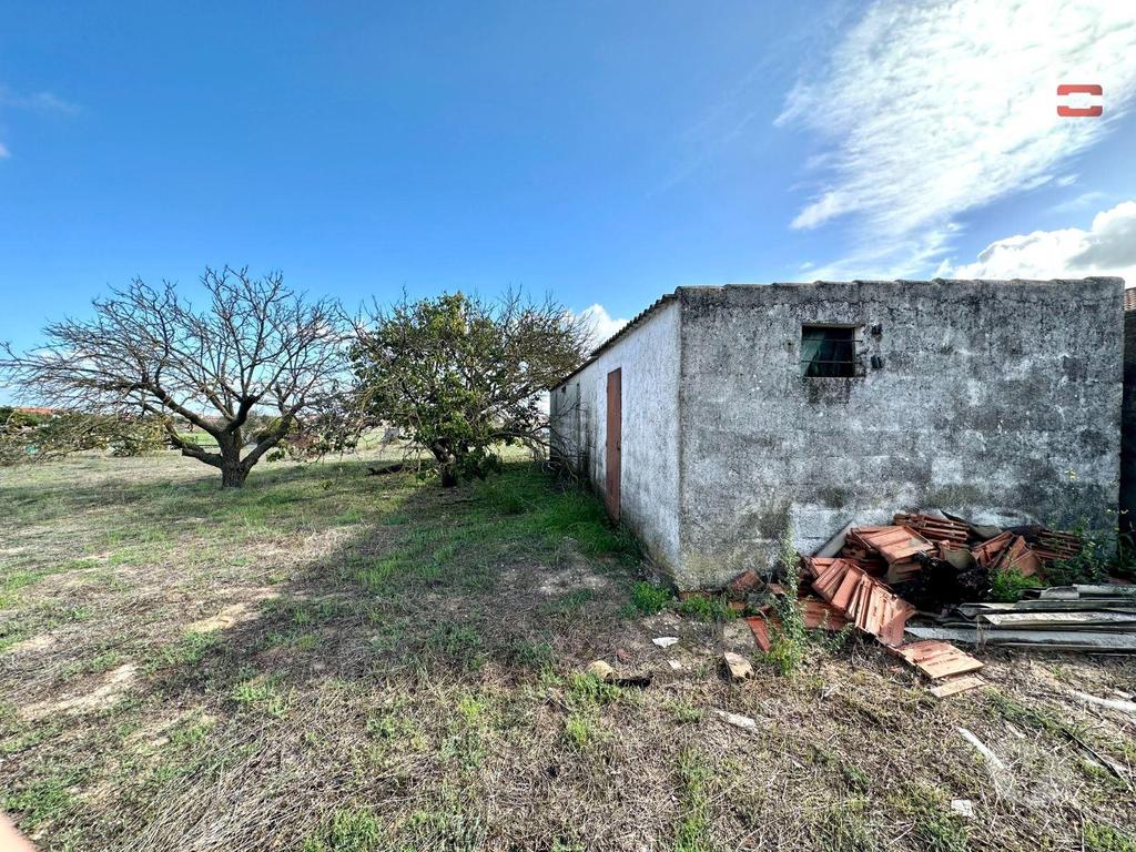 Terrenos Alcochete - Fotos para Terreno para Cultura Arvense, vinhas e damasqueiros com Anexo de