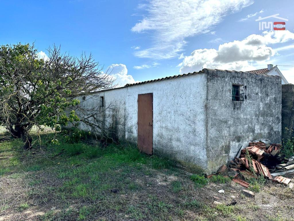 Terrenos Alcochete - Fotos para Terreno para Cultura Arvense, vinhas e damasqueiros com Anexo de