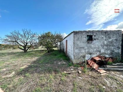Terrenos - Fotos para Terreno para Cultura Arvense, vinhas e damasqueiros com Anexo de