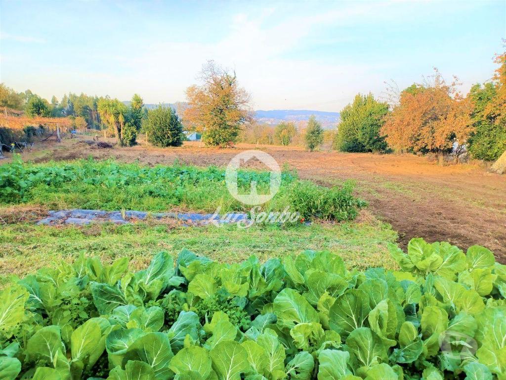 Terrenos Vila Nova de Famalicão - Fotos para Quinta c 37.600m2 em Ruivães - Vila Nova de Famalicão