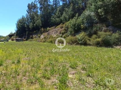 Terrenos - Fotos para Terreno para construção de moradias em Barcelos (265-T-01270)
