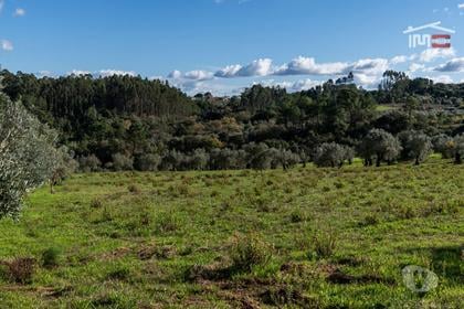 Terrenos e Quintas - Fotos para TERRENO COM 6.316,50 M2 SITUADO EM ATOUGUIA NUMA ZONA