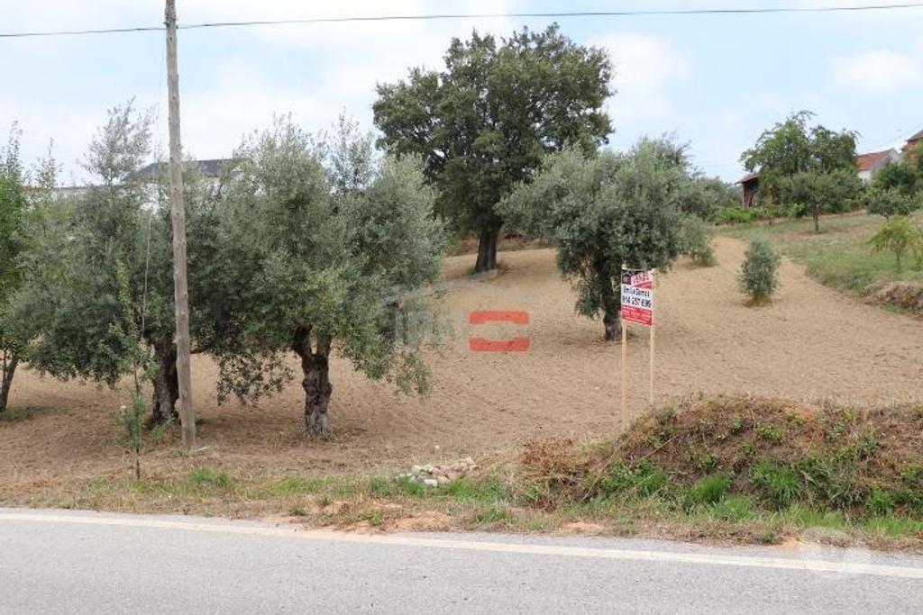 Terrenos Ourém - Fotos para Ourem-Terreno (1-T-110019039)