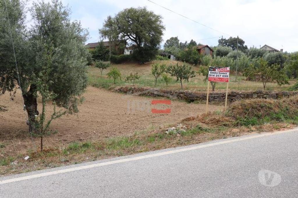 Terrenos Ourém - Fotos para Ourem-Terreno (1-T-110019039)