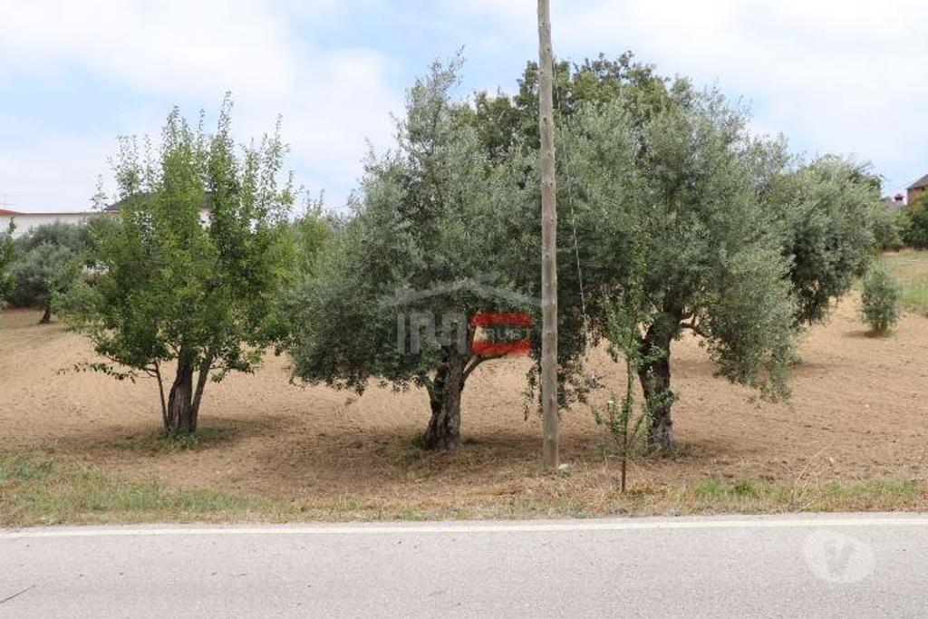 Terrenos Ourém - Fotos para Ourem-Terreno (1-T-110019039)