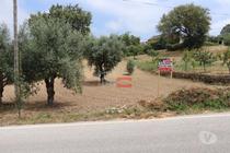 Ourem-Terreno (1-T-110019039)