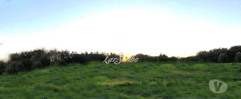 Terrenos Vila Nova de Famalicão - Fotos para Vila-nova-de-famalicao-Terreno rústico em Famalicão (265-T-01607)