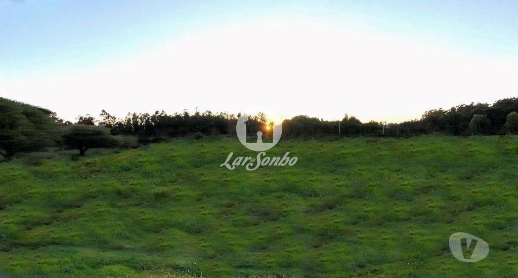 Terrenos Vila Nova de Famalicão - Fotos para Vila-nova-de-famalicao-Terreno rústico em Famalicão (265-T-01607)