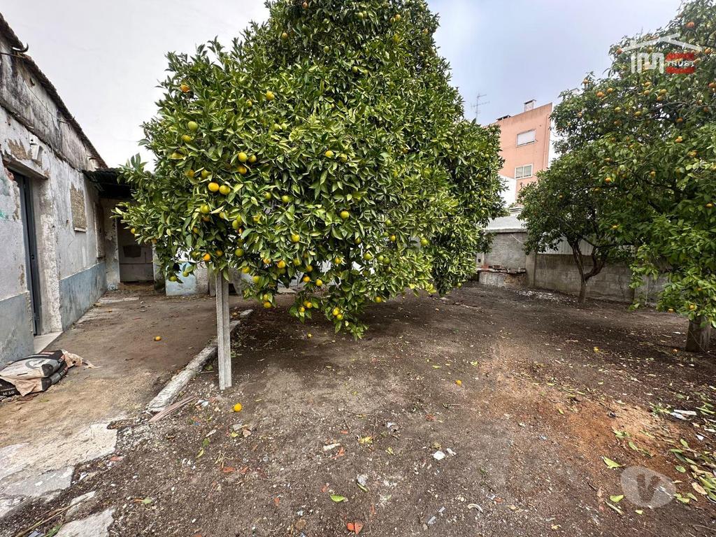 Apartamentos a venda Palmela - Fotos para Fantástico Investimento - Moradia com Quintal e Licença de