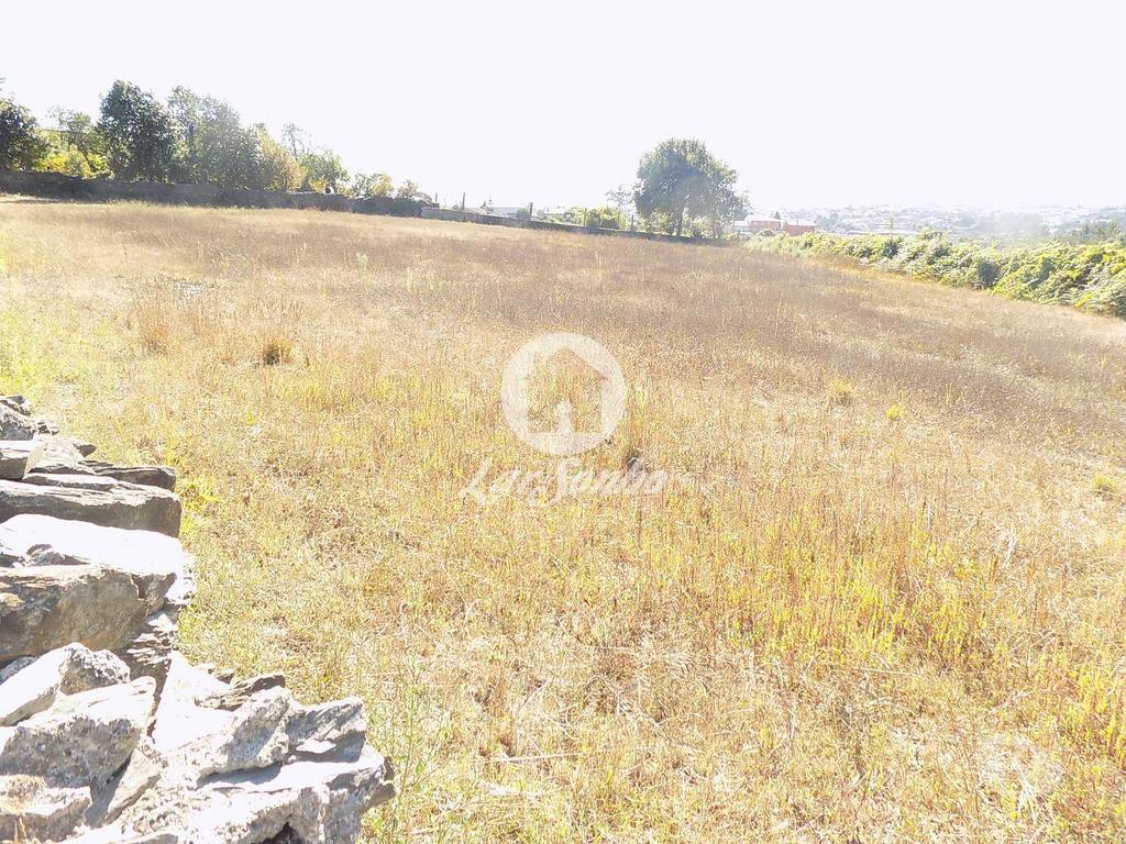Terrenos Vila Nova de Famalicão - Fotos para Terreno de construção com 2.925 m2 em Ribeirão (240-T-23832)