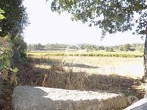 Terreno de construção com 2.925 m2 em Ribeirão (240-T-23832)