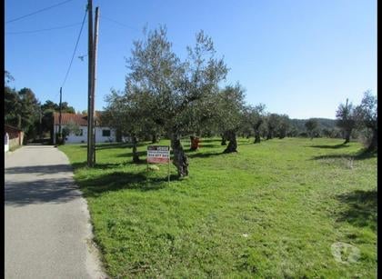 Terrenos e Quintas - Fotos para Ourem-Terreno 800m2 (1-T-1719134)