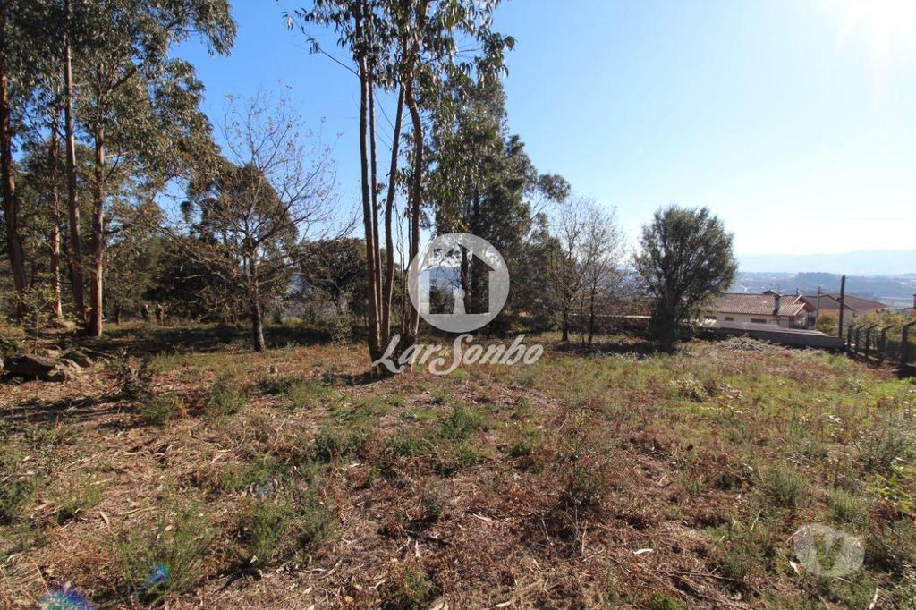 Terrenos Vila Nova de Famalicão - Fotos para Terreno para construção com 5.000m2 em Vermoim (240-T-24185)