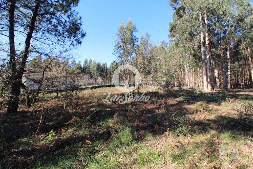 Terrenos Vila Nova de Famalicão - Fotos para Terreno para construção com 5.000m2 em Vermoim (240-T-24185)