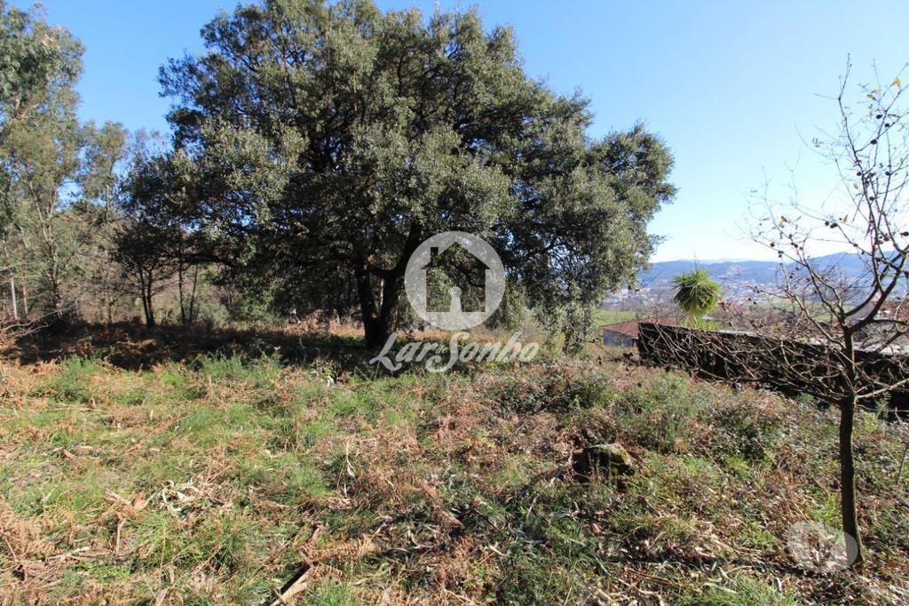 Terrenos Vila Nova de Famalicão - Fotos para Terreno para construção com 5.000m2 em Vermoim (240-T-24185)