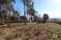 Terreno para construção com 5.000m2 em Vermoim (240-T-24185)