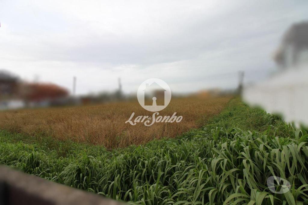 Terrenos Vila do Conde - Fotos para Terreno para construção com 4.100m2 em Mindelo, Vila do Conde