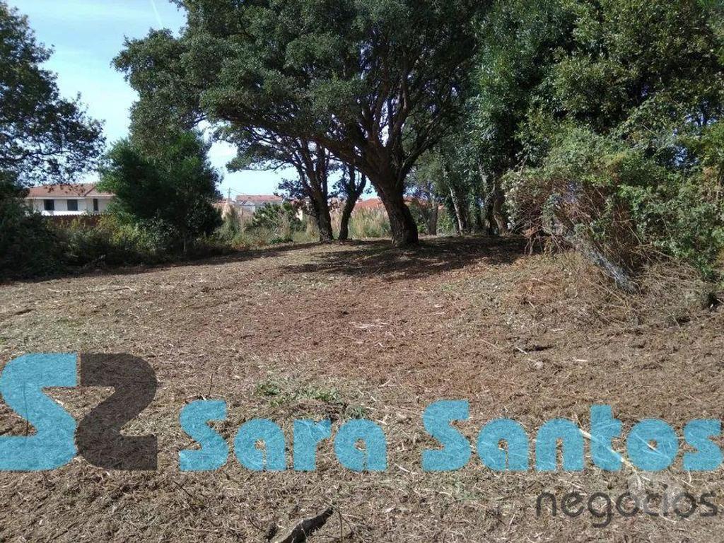 Terrenos Vila Nova de Gaia - Fotos para Terreno na Praia da Granja - 700 m²- Vila Nova Gaia (SS0984)