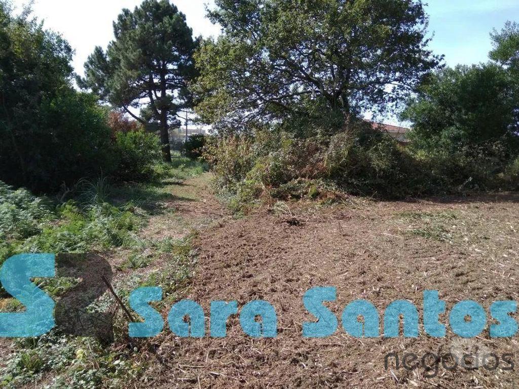 Terrenos Vila Nova de Gaia - Fotos para Terreno na Praia da Granja - 700 m²- Vila Nova Gaia (SS0984)