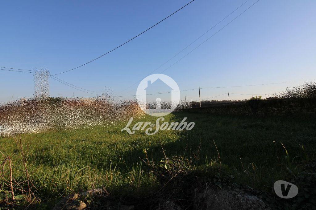 Terrenos Vila do Conde - Fotos para Terreno p construção c 1560m2 - Argivai (240-T-21017)