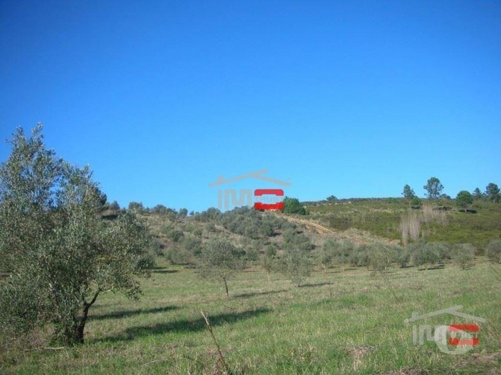Terrenos Tomar - Fotos para Tomar-TERRENO c OLIVAL30000 m2 (3-T-35117001)