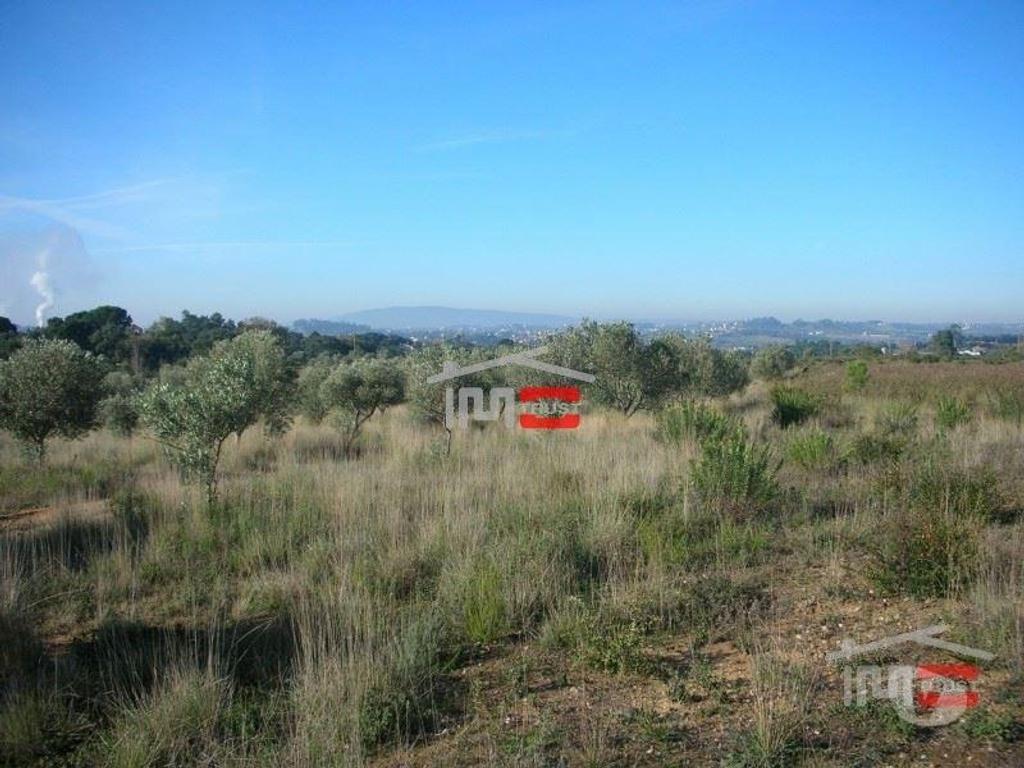 Terrenos Tomar - Fotos para Tomar-TERRENO c OLIVAL30000 m2 (3-T-35117001)