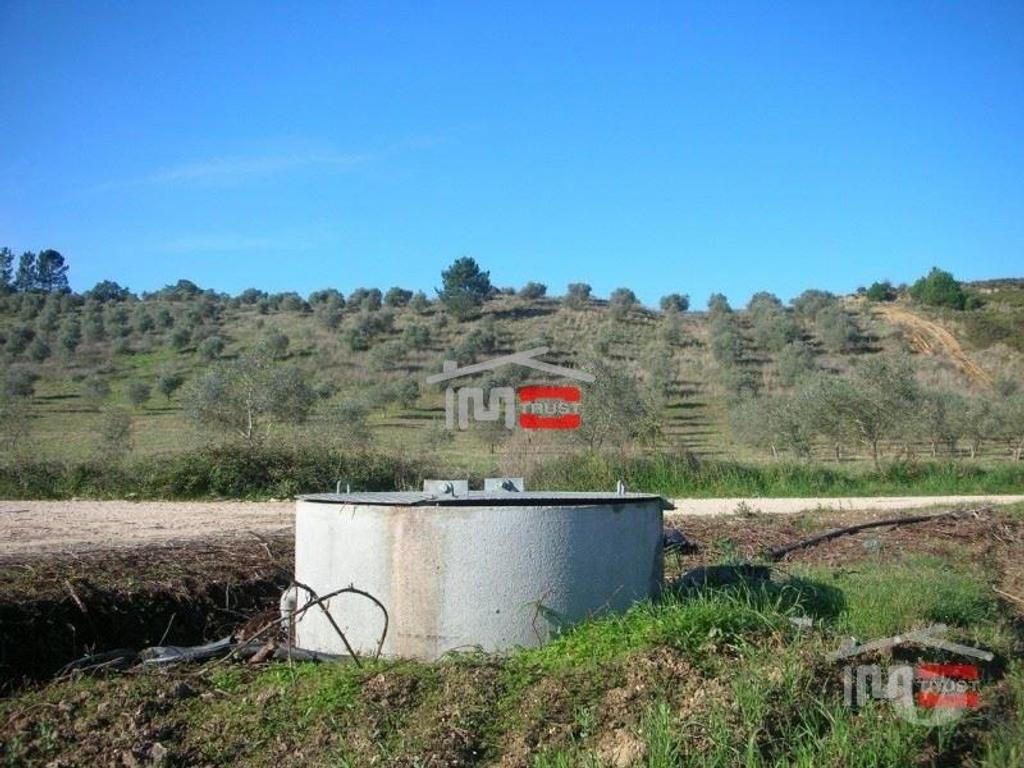 Terrenos Tomar - Fotos para Tomar-TERRENO c OLIVAL30000 m2 (3-T-35117001)