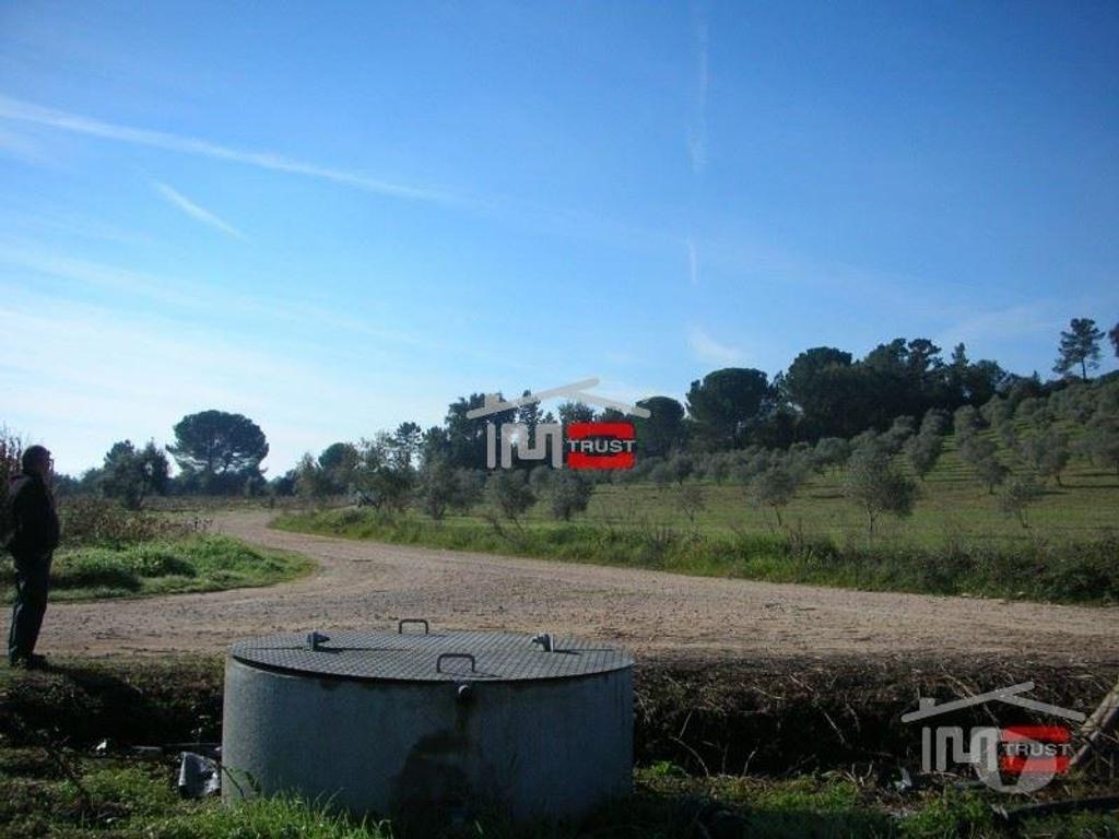 Terrenos Tomar - Fotos para Tomar-TERRENO c OLIVAL30000 m2 (3-T-35117001)