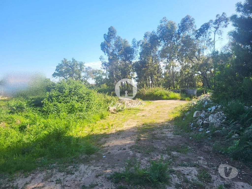 Terrenos Vila do Conde - Fotos para Terreno para construção de moradia individual em Gião, Vila do