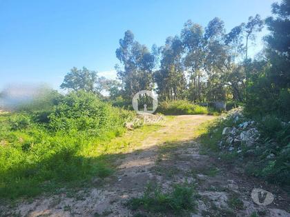 Terrenos - Fotos para Terreno para construção de moradia individual em Gião, Vila do