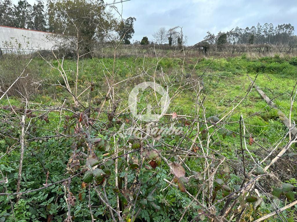 Terrenos Vila do Conde - Fotos para Terreno de construção de moradia individual com área total de