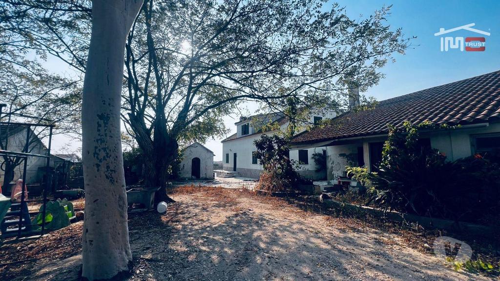 Terrenos Alcochete - Fotos para Terreno de 11,5 Hectares em Alcochete com 2 Moradias, Anexos