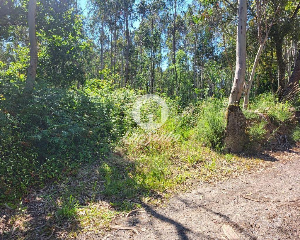 Terrenos Vila do Conde - Fotos para Terreno industrial com 6.100m2 em Gião, Vila do Conde