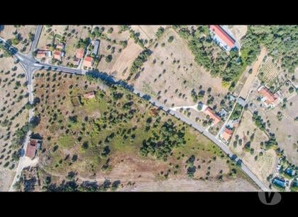 Terrenos e quintas a venda - Fotos para Tomar-Excelente terreno às portas da cidade (3-T-34419109)