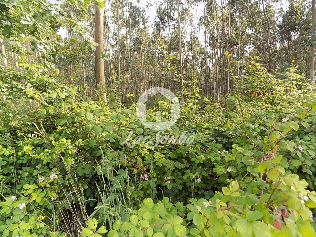 Terrenos Póvoa de Varzim - Fotos para Terreno rústico, como novo, para venda, Póvoa de Varzim -