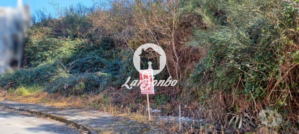 Terrenos Vila Nova de Famalicão - Fotos para Lote terreno c 556m2 para construção moradia geminada - Brufe
