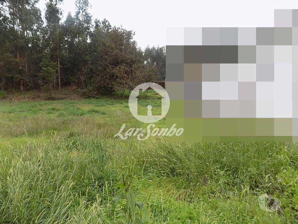 Terrenos Póvoa de Varzim - Fotos para Povoa-de-varzim-Terreno para construção c 1161m2 (240-T-20628)
