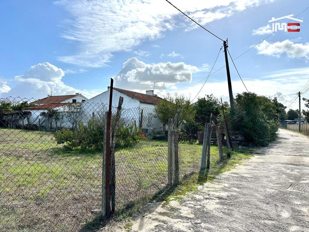 Terrenos Montijo - Fotos para Terreno para Cultura Arvense, vinhas e damasqueiros com Anexo de