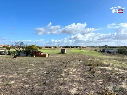 Terrenos e quintas a venda - Fotos para Terreno para Cultura Arvense, vinhas e damasqueiros com Anexo de
