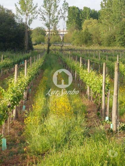 Terrenos a venda - Fotos para Penafiel-Quinta T5, situada em Penafiel (258-Q-00561)