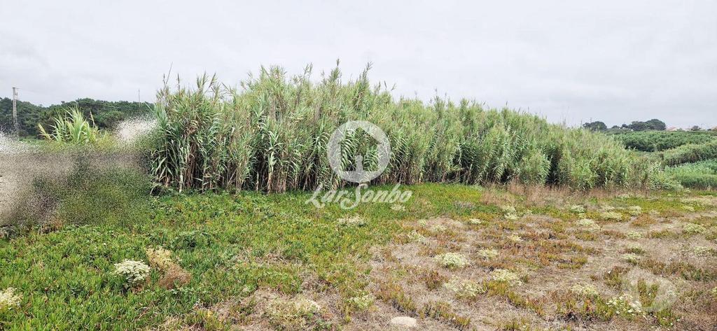 Terrenos Vila do Conde - Fotos para Lote para moradia c 903m2 na 1ª Linha de Praia em Vila do Conde