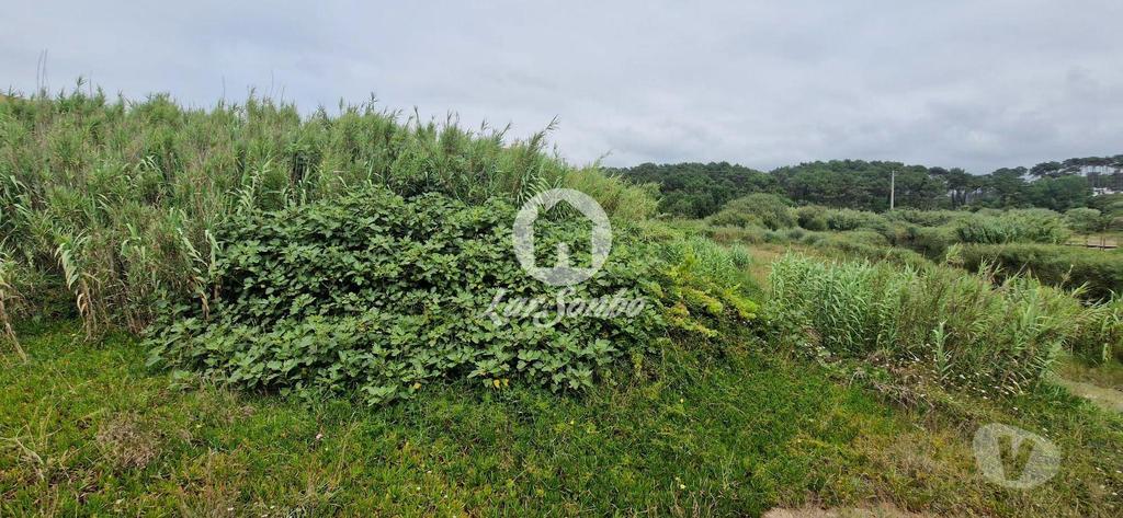 Terrenos Vila do Conde - Fotos para Lote para moradia c 903m2 na 1ª Linha de Praia em Vila do Conde