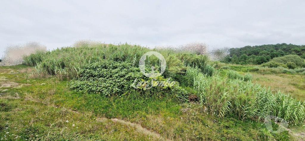 Terrenos Vila do Conde - Fotos para Lote para moradia c 903m2 na 1ª Linha de Praia em Vila do Conde