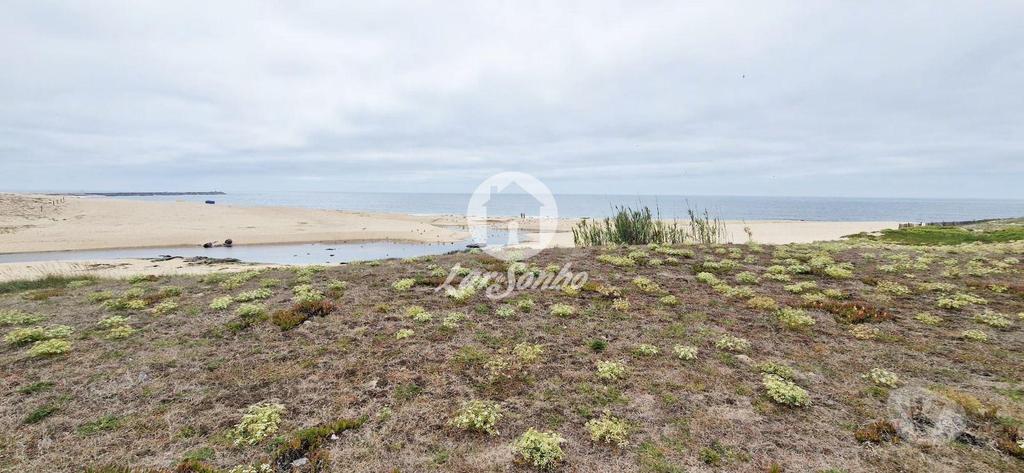 Terrenos Vila do Conde - Fotos para Lote para moradia c 903m2 na 1ª Linha de Praia em Vila do Conde