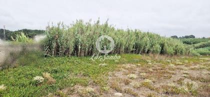 Terrenos - Fotos para Lote para moradia c 903m2 na 1ª Linha de Praia em Vila do Conde