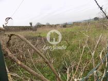 Povoa-de-varzim-Terreno para construção em Balazar (240-T-20875)