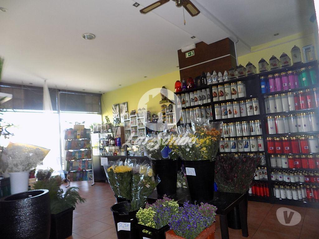 Comprar Loja Póvoa de Varzim - Fotos para Loja, como nova, para venda, Póvoa de Varzim - Póvoa de...