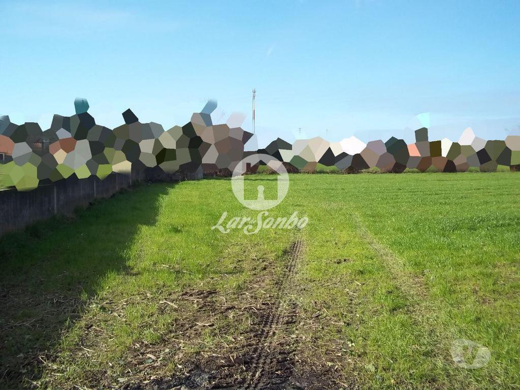 Terrenos Vila do Conde - Fotos para Terreno para construção com 4.000m2 em Macieira da Maia - Vila