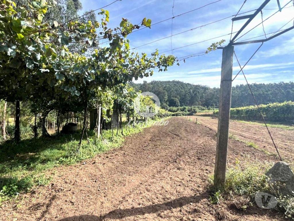 Terrenos Barcelos - Fotos para Barcelos-Terreno em Barcelos (265-T-01616)