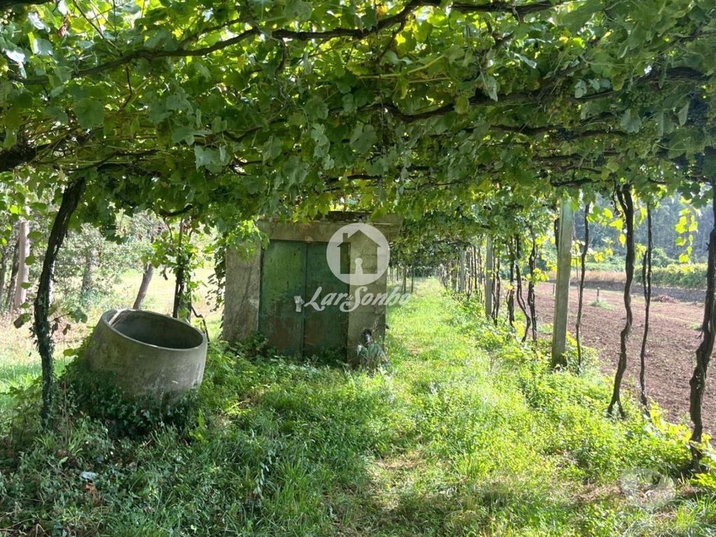Terrenos Barcelos - Fotos para Barcelos-Terreno em Barcelos (265-T-01616)